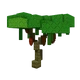Cacao