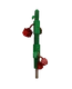 Cranberry