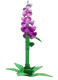 Foxglove